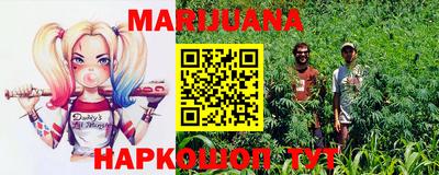 ешки Гатчина